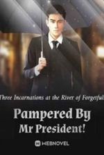 Pampered By Mr President!